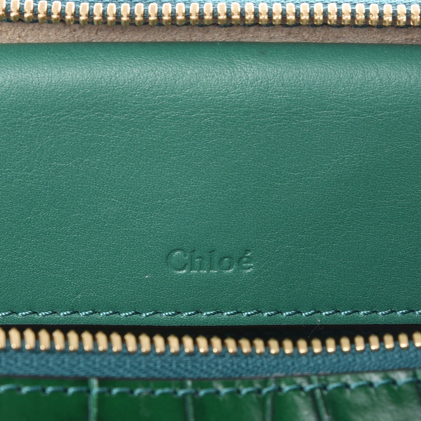 Calfskin Crocodile Embossed Mini C Vanity Bag Woodsy Green