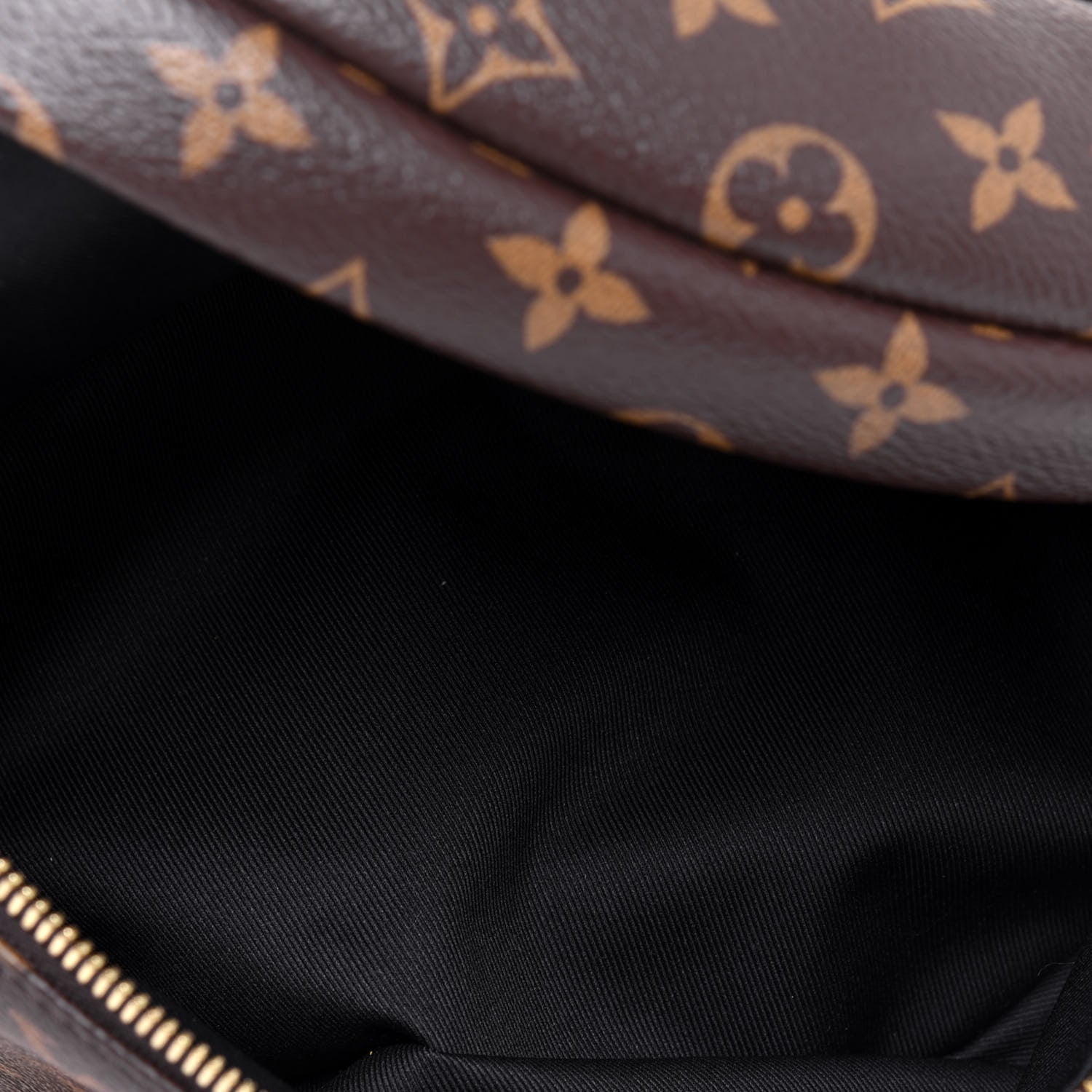 Louis Vuitton Monogram Bumbag 4 of 14
