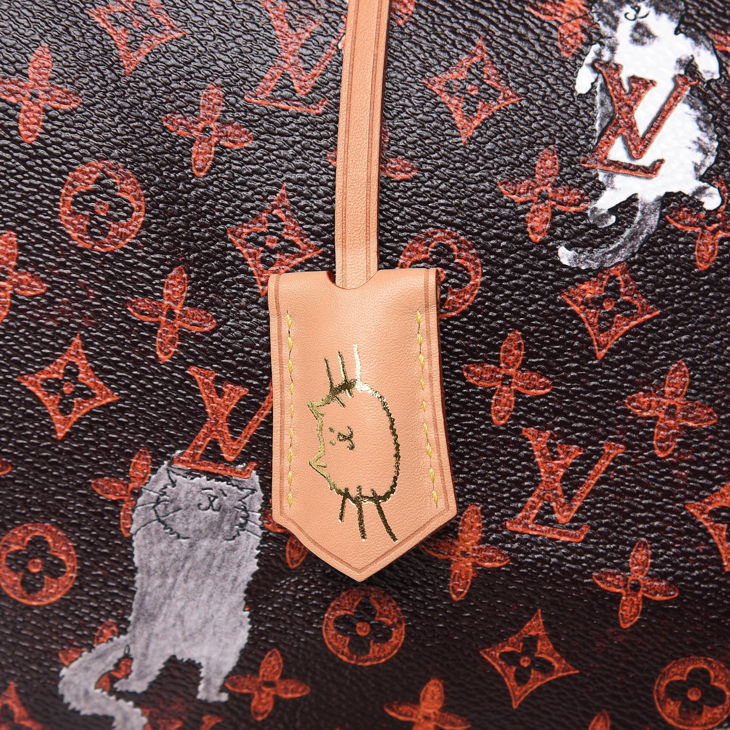 Louis Vuitton Catogram Speedy Bandouliere 30 Marron 10 of 11