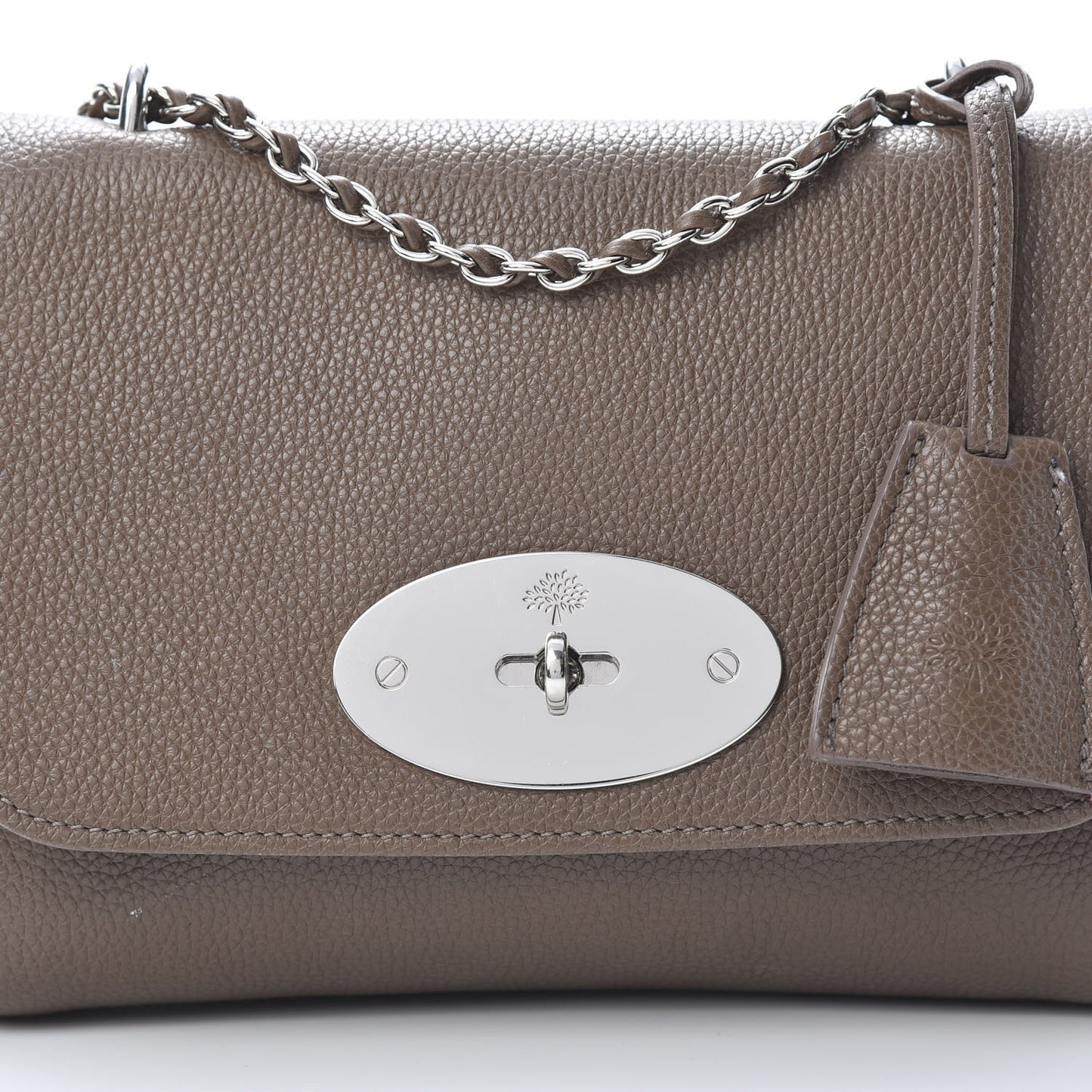 Glossy Goatskin Small Lily Flap Taupe