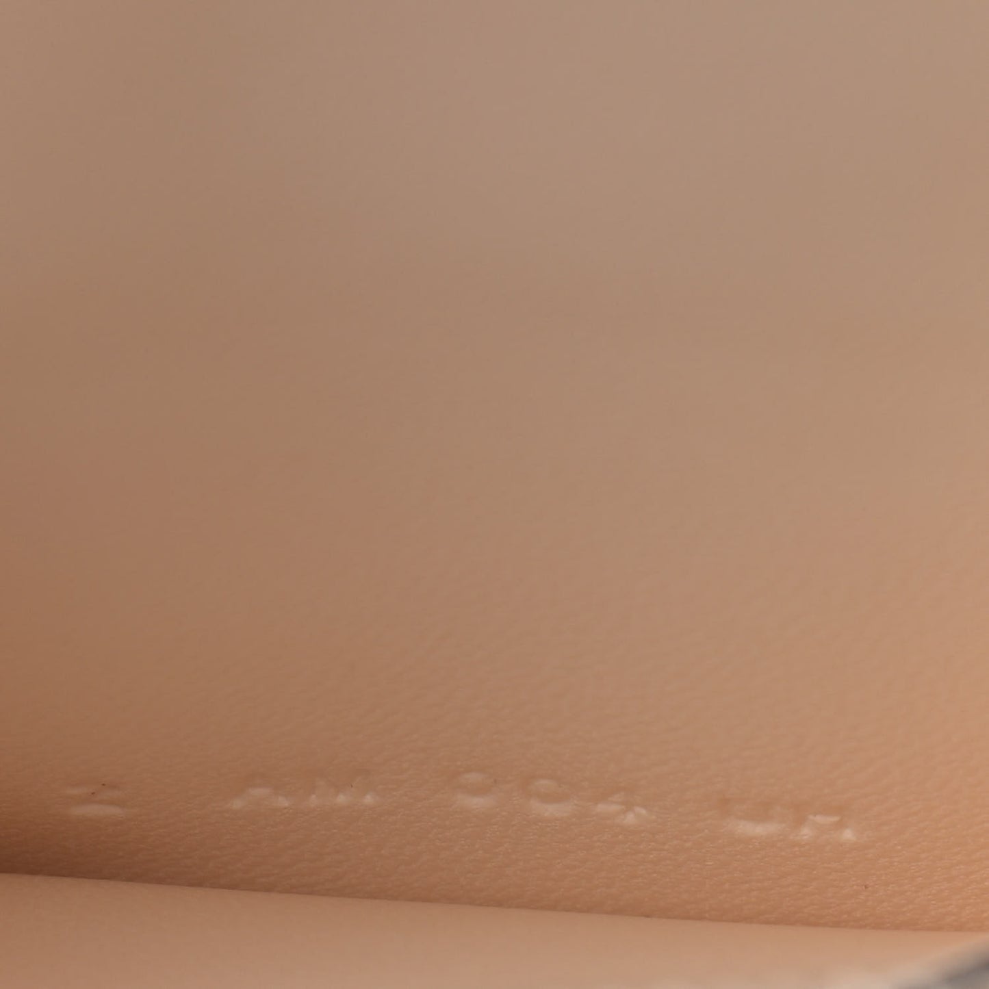 Swift Verso In-The-Loop Belt Bag Nata