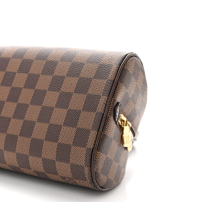 Louis Vuitton Damier Ebene Ribera Mini 10 of 11
