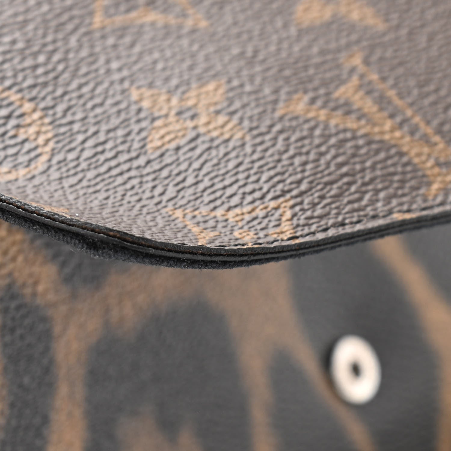Louis Vuitton Monogram Animal Print Pochette Felicie Chain Wallet 10 of 12