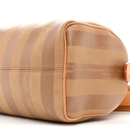 Louis Vuitton Calfskin Washed Stripes Speedy P9 Bandouliere 20 Camel 13 of 14