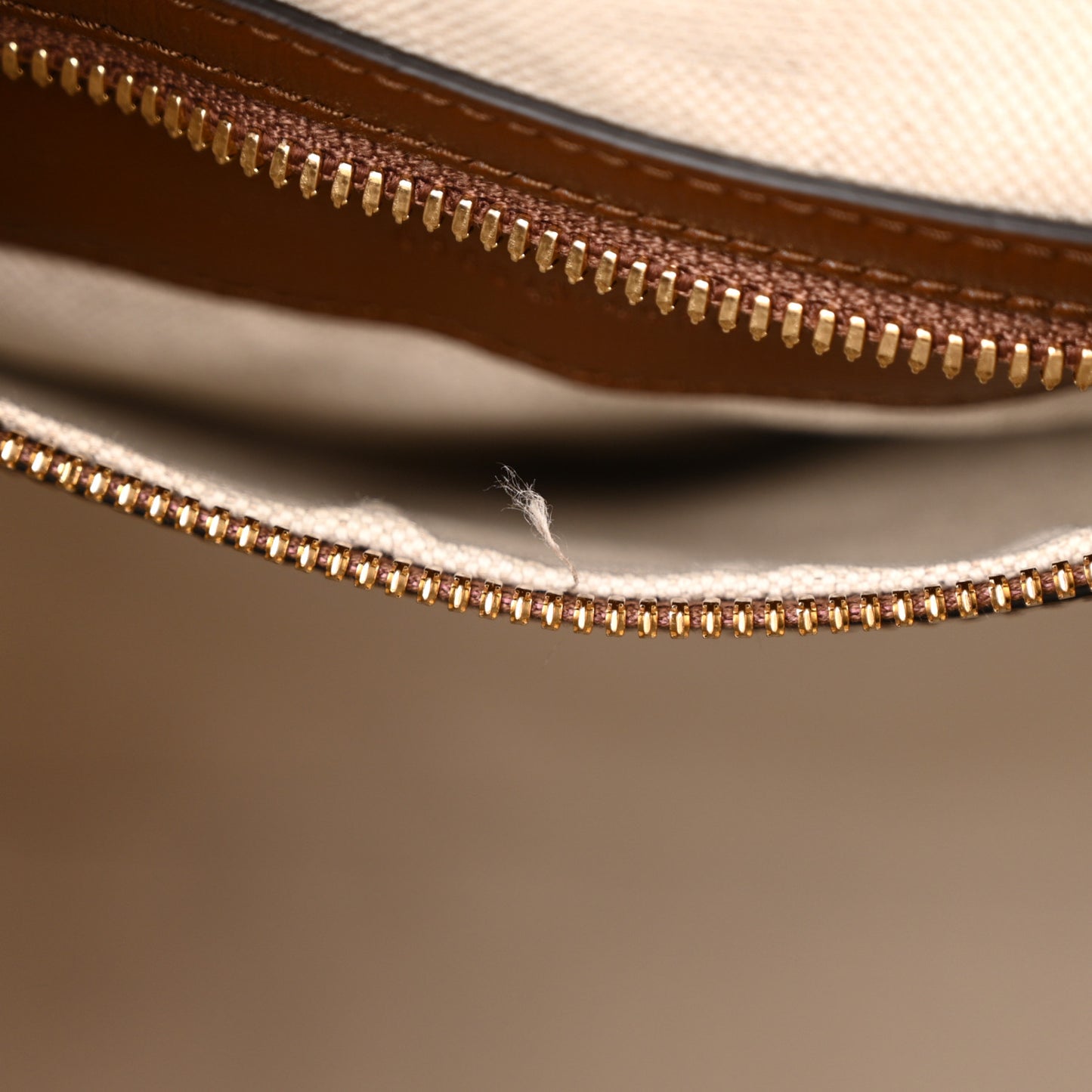 GG Supreme Monogram Azalea Calfskin Medium Retro Interlocking G Buckle Backpack Beige Ebony Brown Sugar