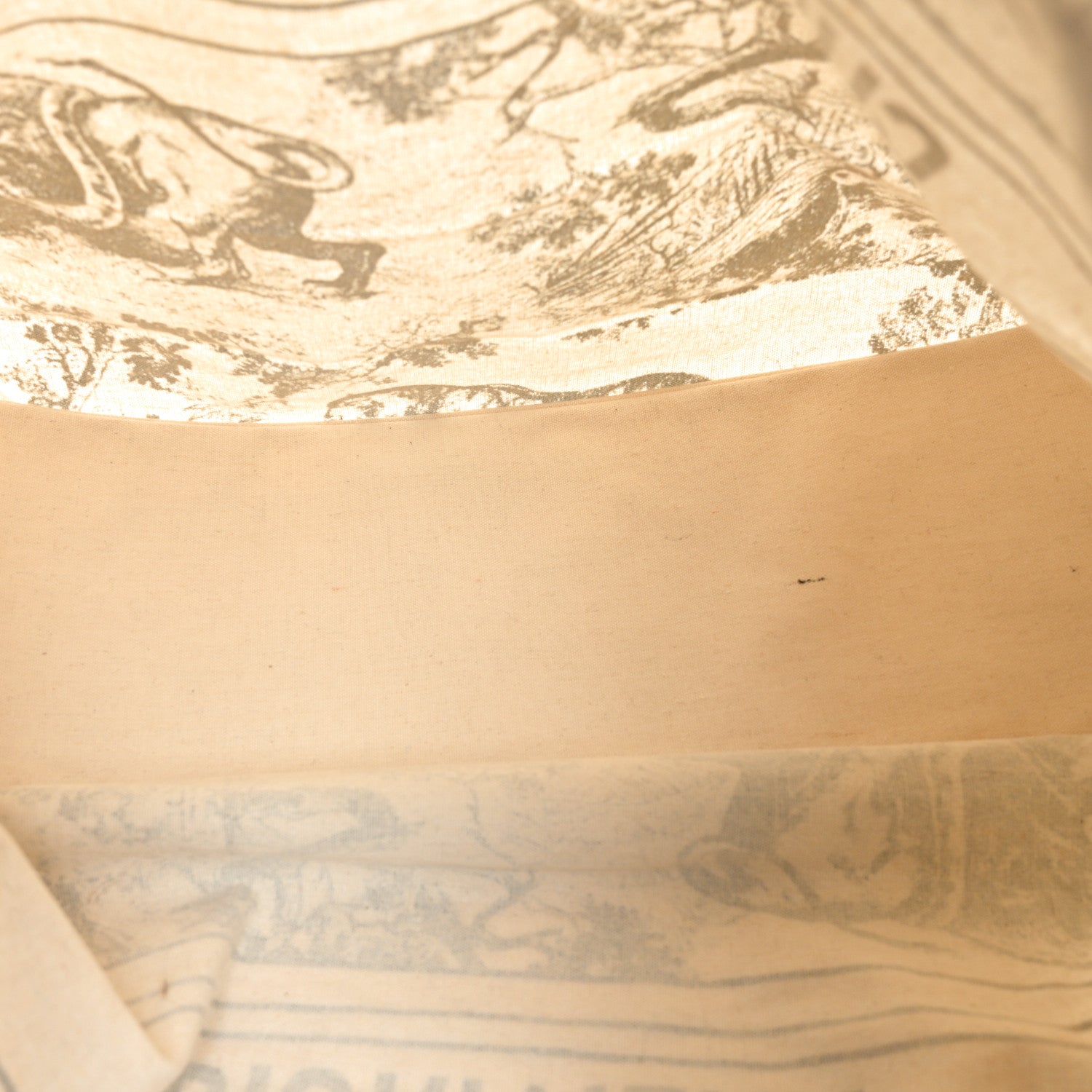 Christian Dior Straw Dioriviera Tote Grey 5 of 8