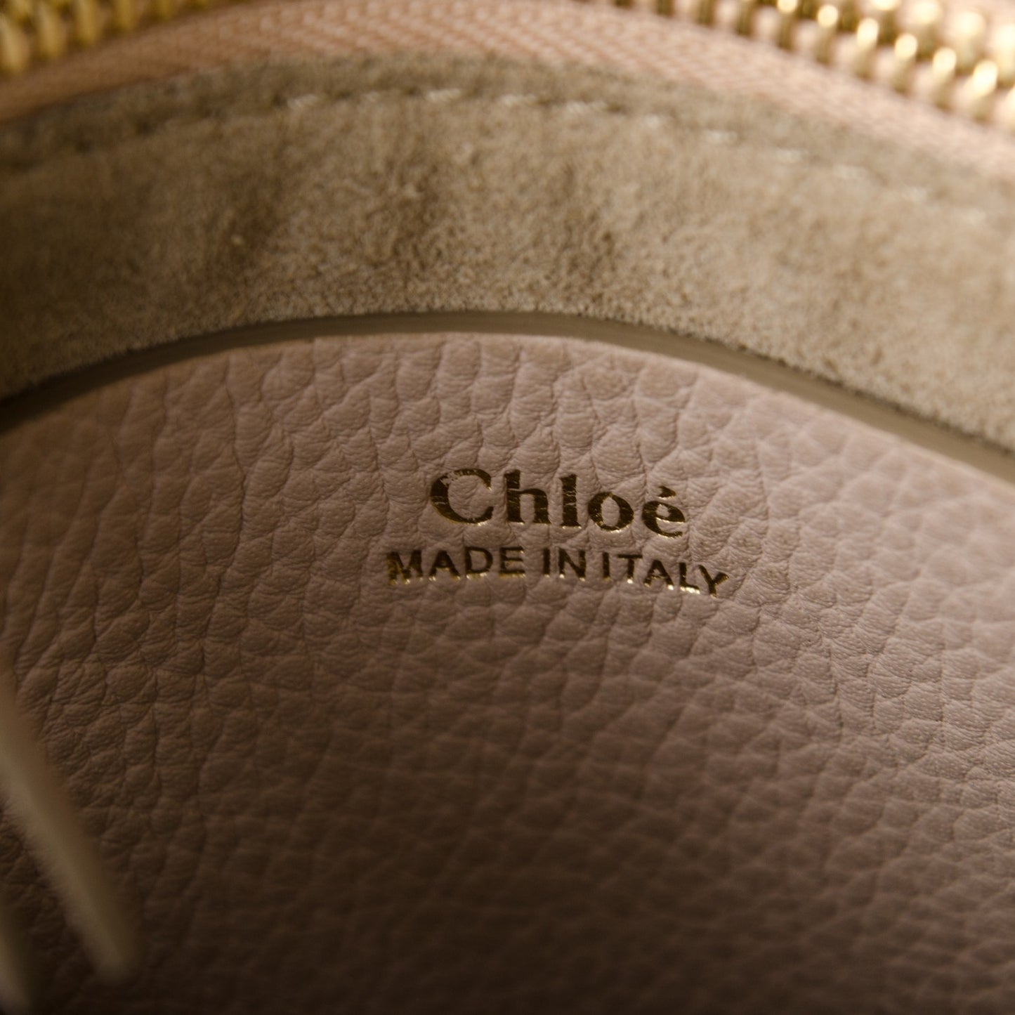 Grained Calfskin Mini Hayley Hobo Cement Pink