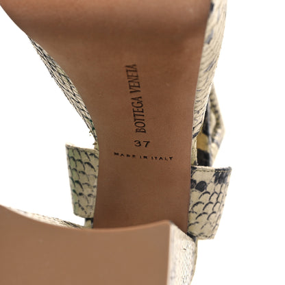 Bottega Veneta Faded Goatskin Python Printed Tower 40/140mm Platform Pumps 37 Kiwi Black 6 of 9