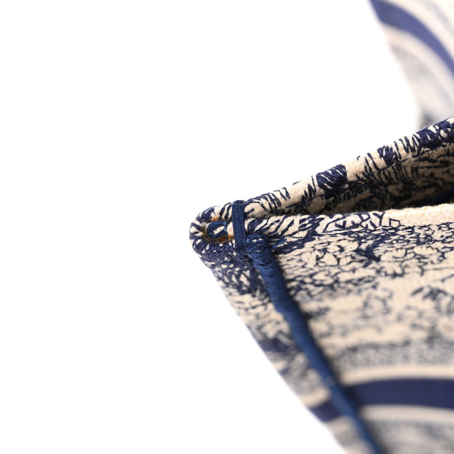 Canvas Embroidered Medium Dioriviera Toile De Jouy Book Tote Blue