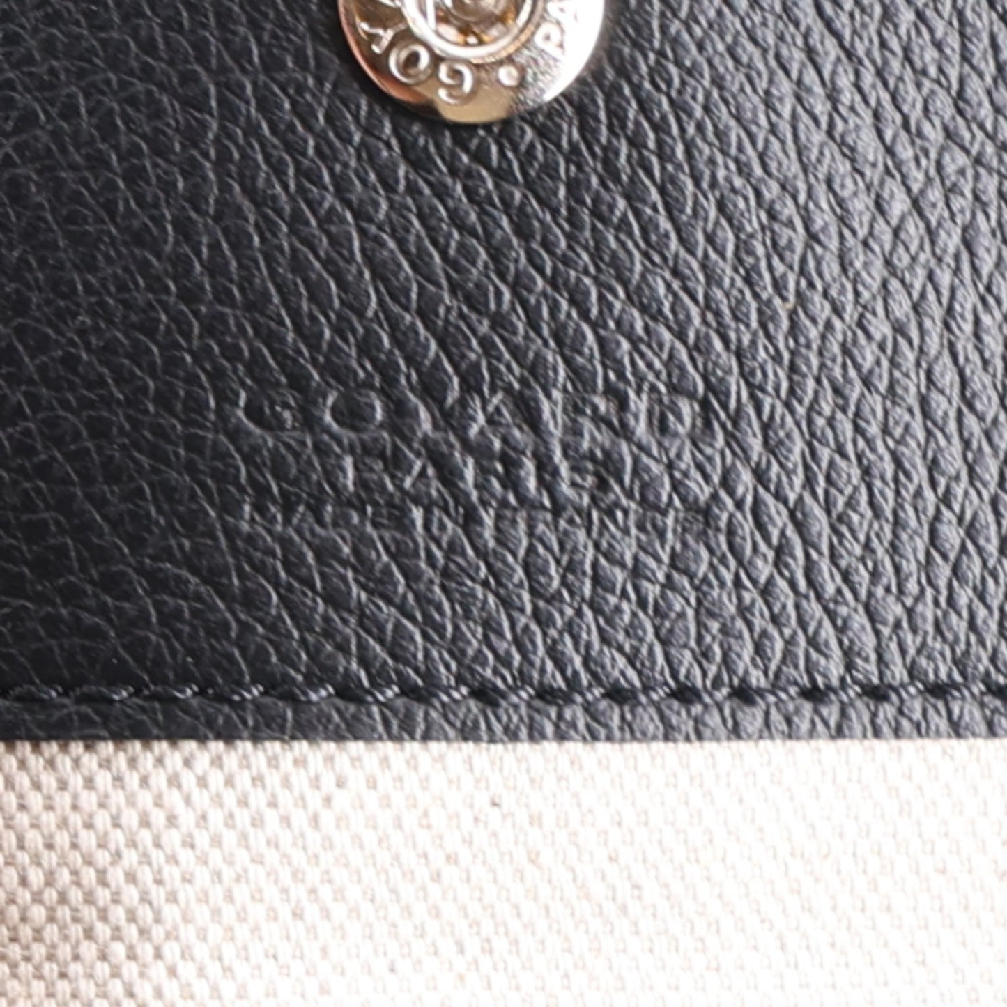Goyardine Boheme Hobo Black