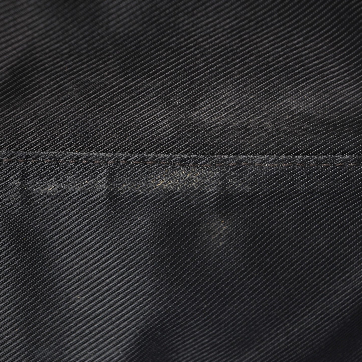 Monogram Web Dog Carrier