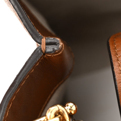 Gucci New Canvas Charisma Calfskin Crystal GG Monogram Mini Diana Tote Bag Camel Ebony 13 of 14