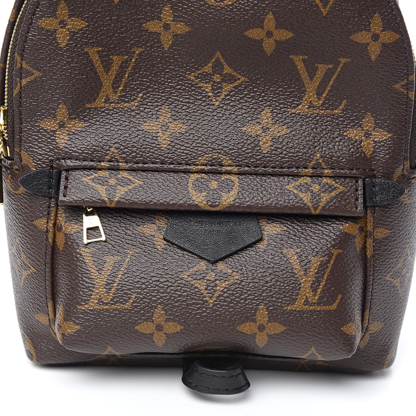 Monogram Palm Springs Backpack Mini
