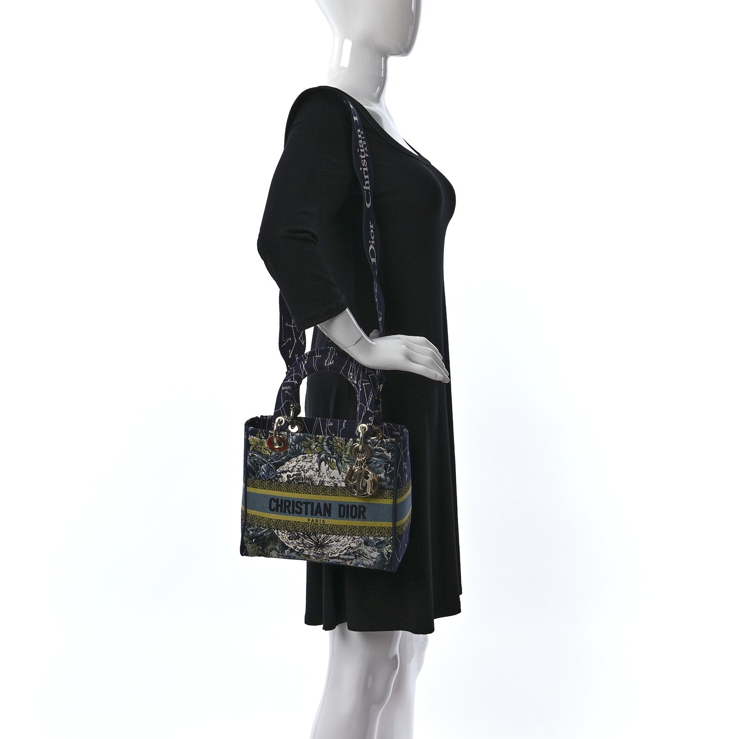 Christian Dior Canvas Embroidered Zodiac Medium Lady D-Lite Blue Multicolor 2 of 8