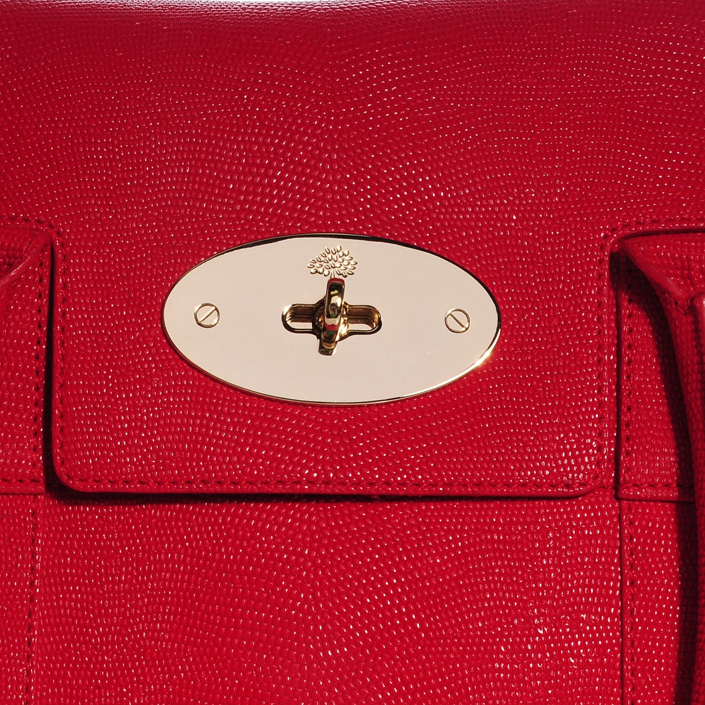 Textured Lizard Print Bayswater Red