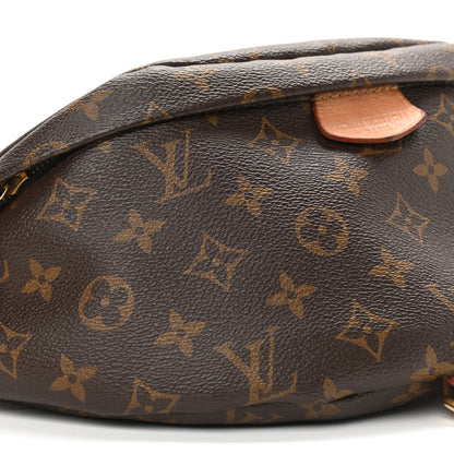 Louis Vuitton Monogram Bumbag 9 of 14