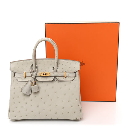 Hermes Ostrich Birkin 25 Gris Perle 11 of 11