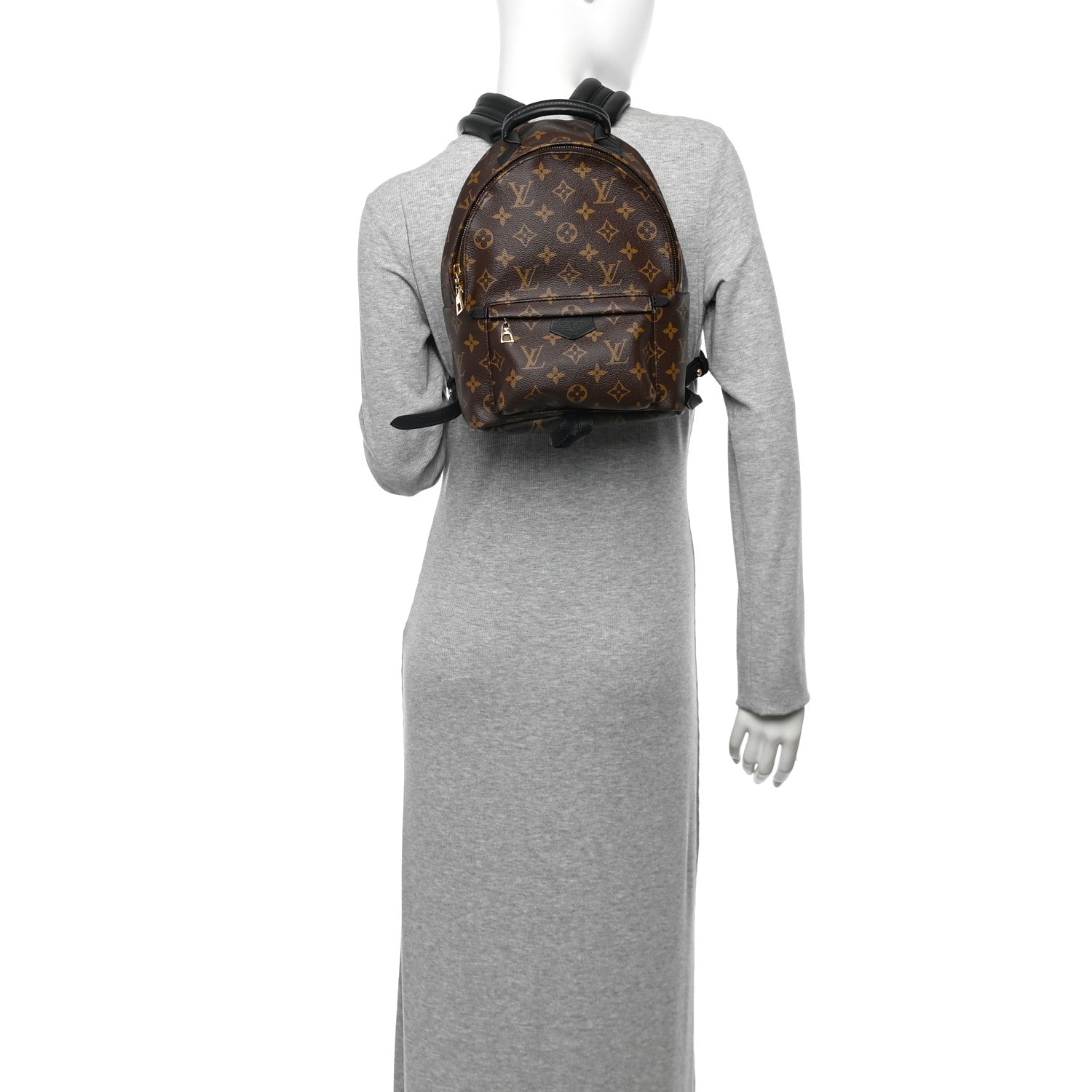 Louis Vuitton Monogram Palm Springs Backpack PM 2 of 9