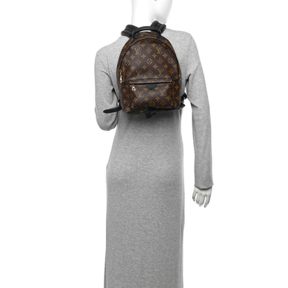Louis Vuitton Monogram Palm Springs Backpack PM 2 of 9