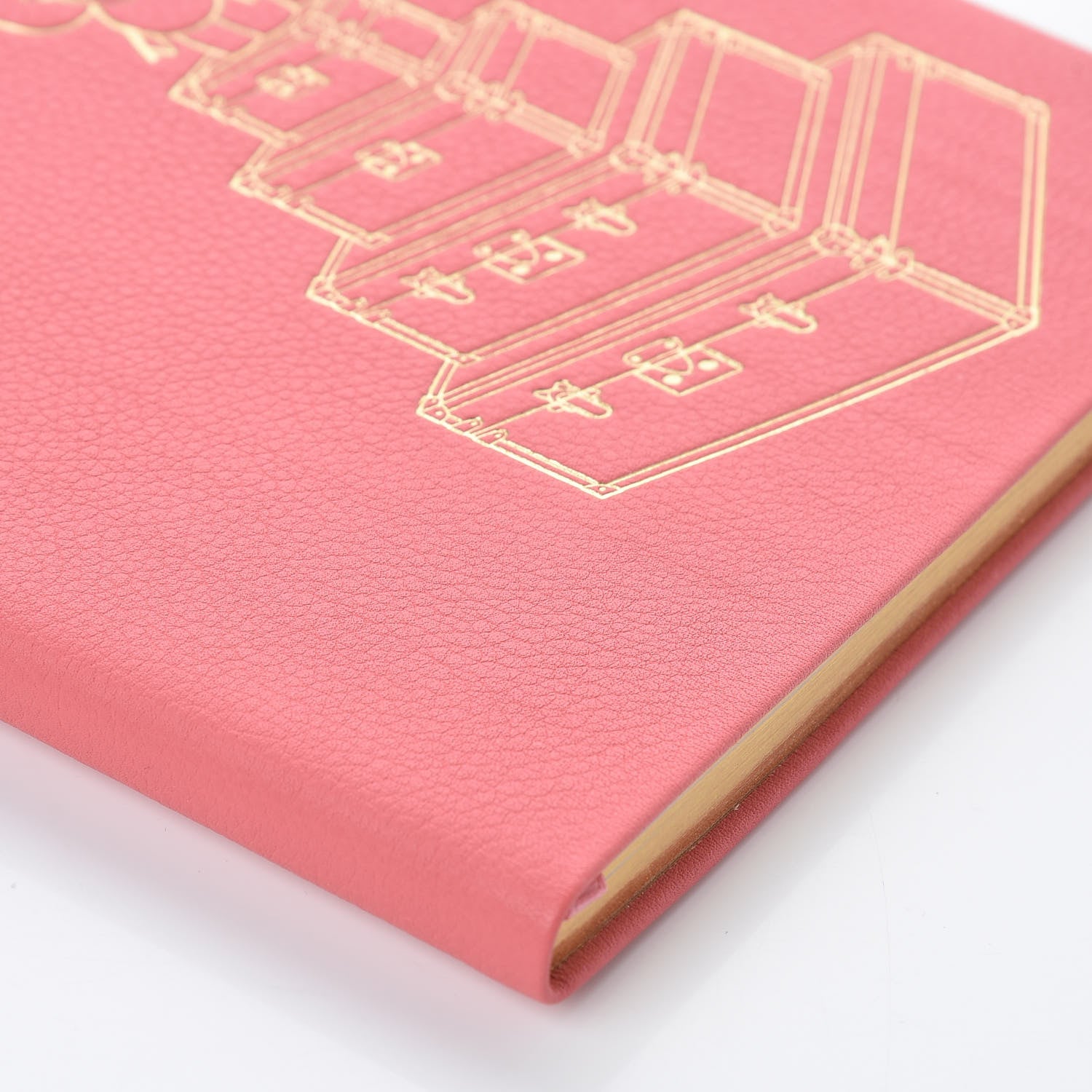Louis Vuitton Taurillon Vivienne Notebook Corail 8 of 9