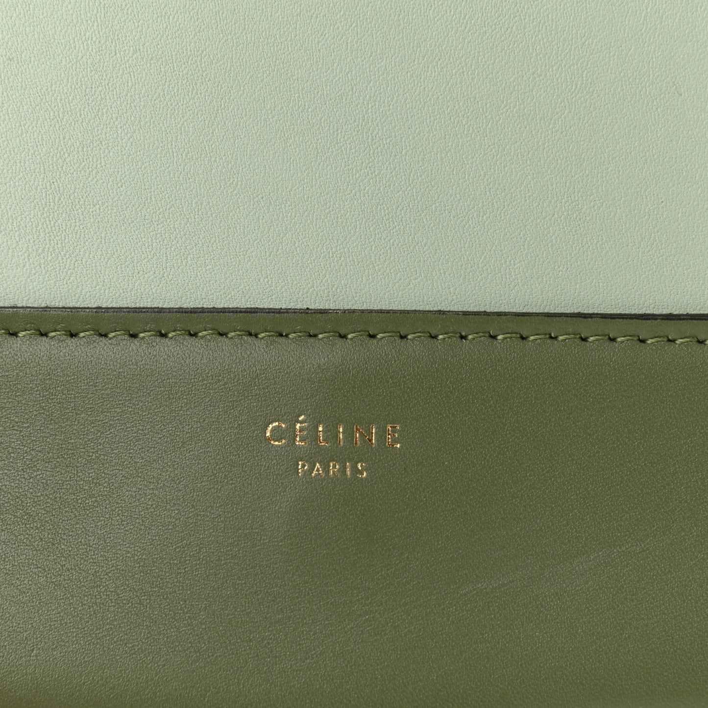 Shiny Smooth Calfskin Medium Frame Shoulder Bag Olive Pastel Green