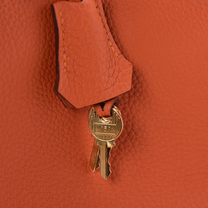Hermes Togo Birkin 25 Feu 33 of 36