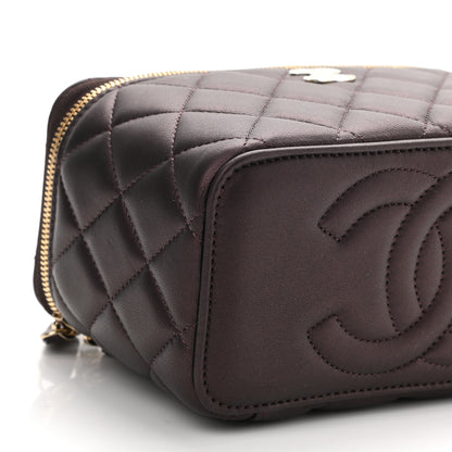Chanel Iridescent Lambskin Quilted Small Top Handle Vanity Case With Chain Burgundy 10 of 12