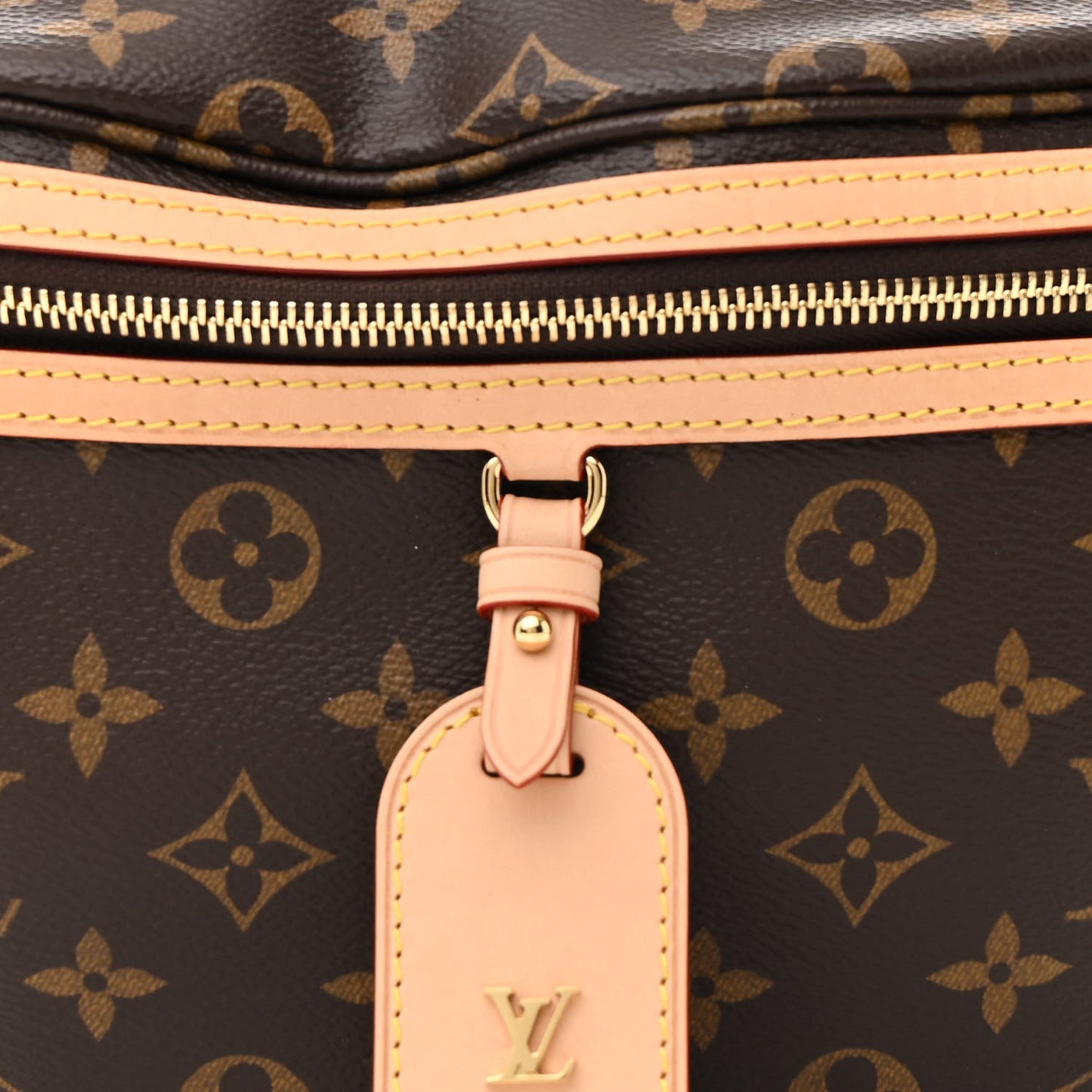 Monogram High Rise Bumbag