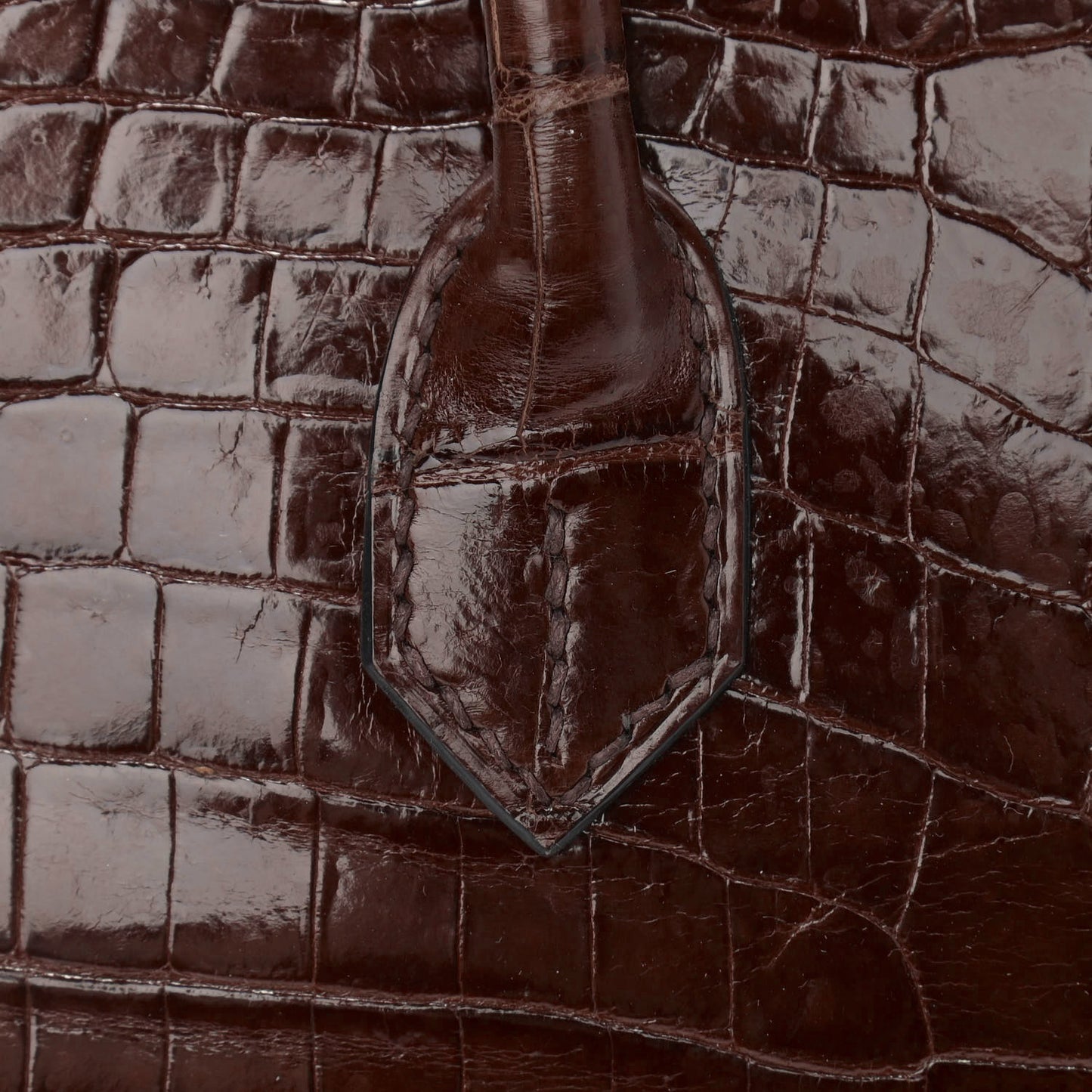 Shiny Niloticus Crocodile Birkin 25 Miel
