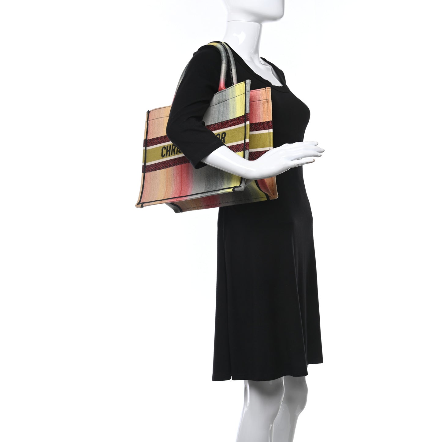 Canvas Embroidered Medium Dioraura Book Tote Multicolor
