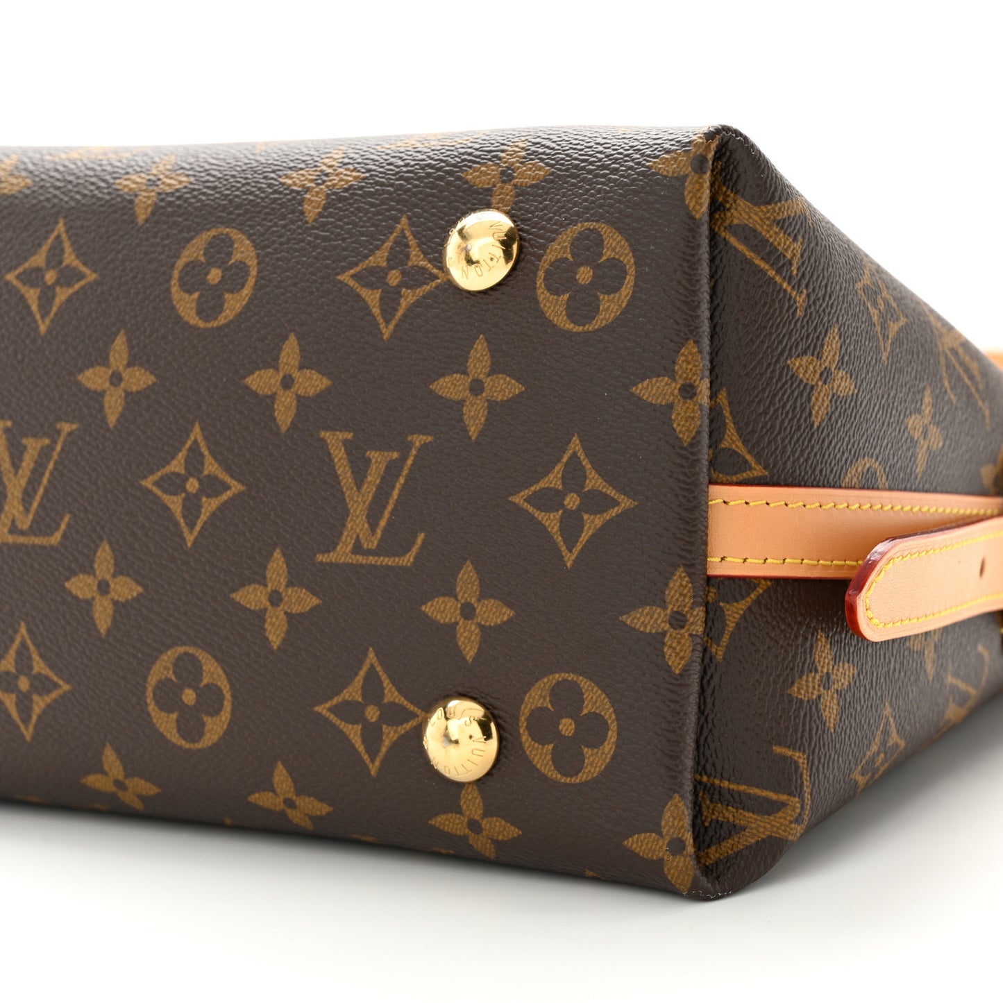 Monogram CarryAll PM