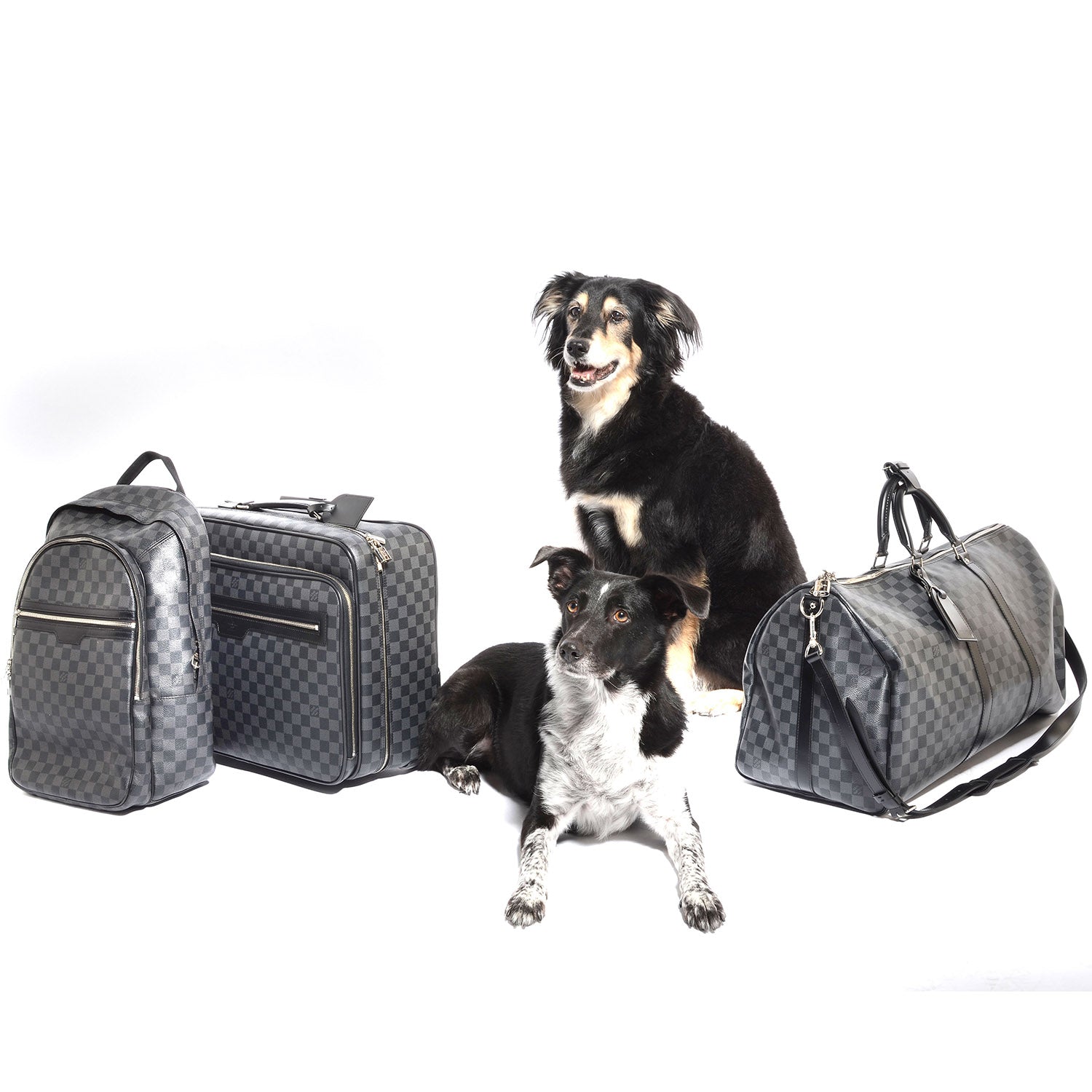FASHIONPHILE FASHIONPHILE Pet Picks Calendar 14 of 14