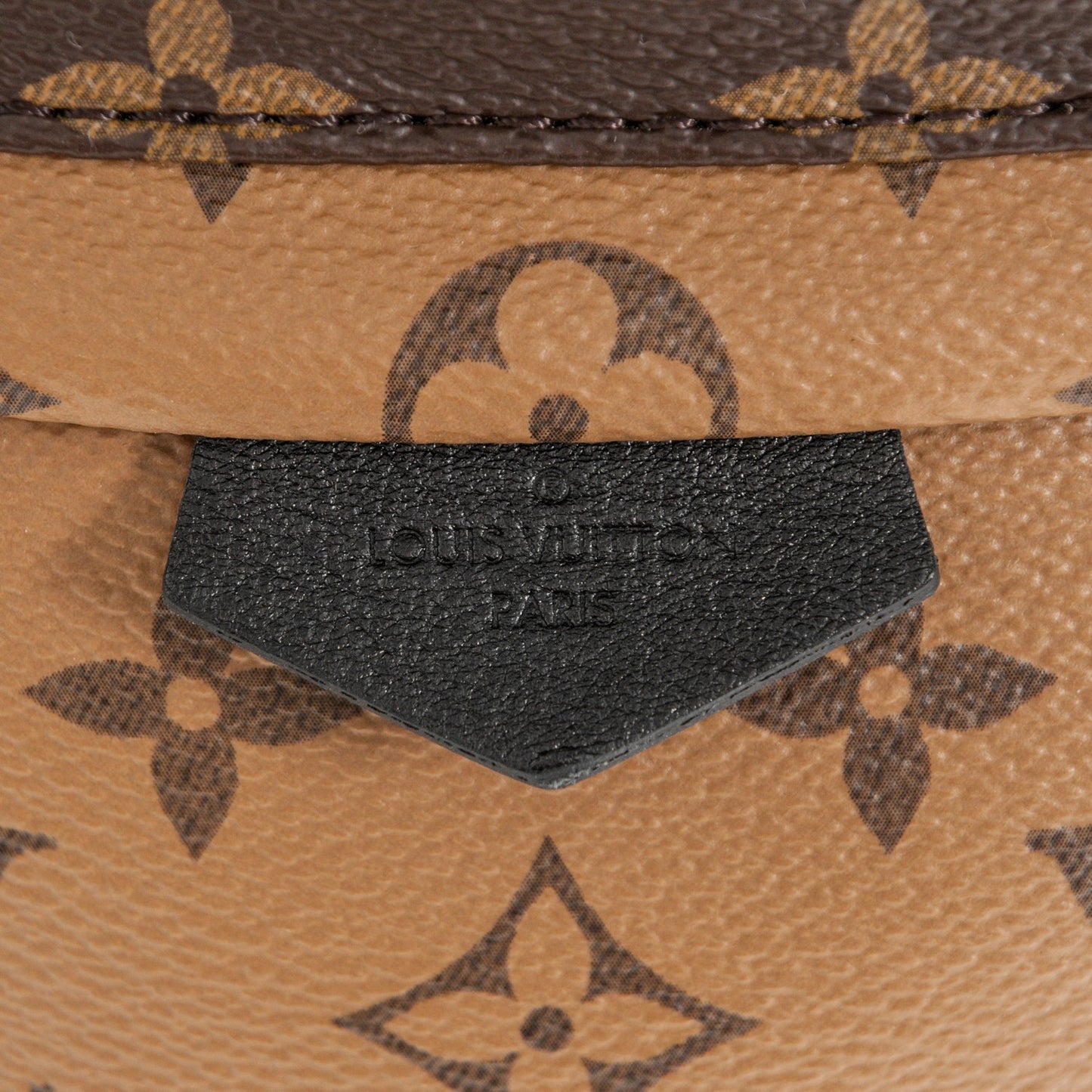 Reverse Monogram Palm Springs Backpack PM