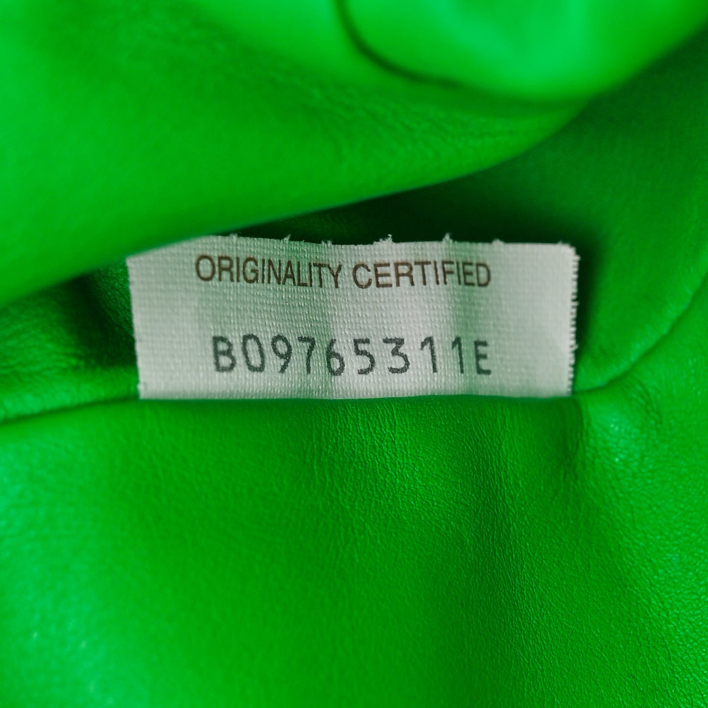 Butter Calfskin The Mini Pouch Parakeet