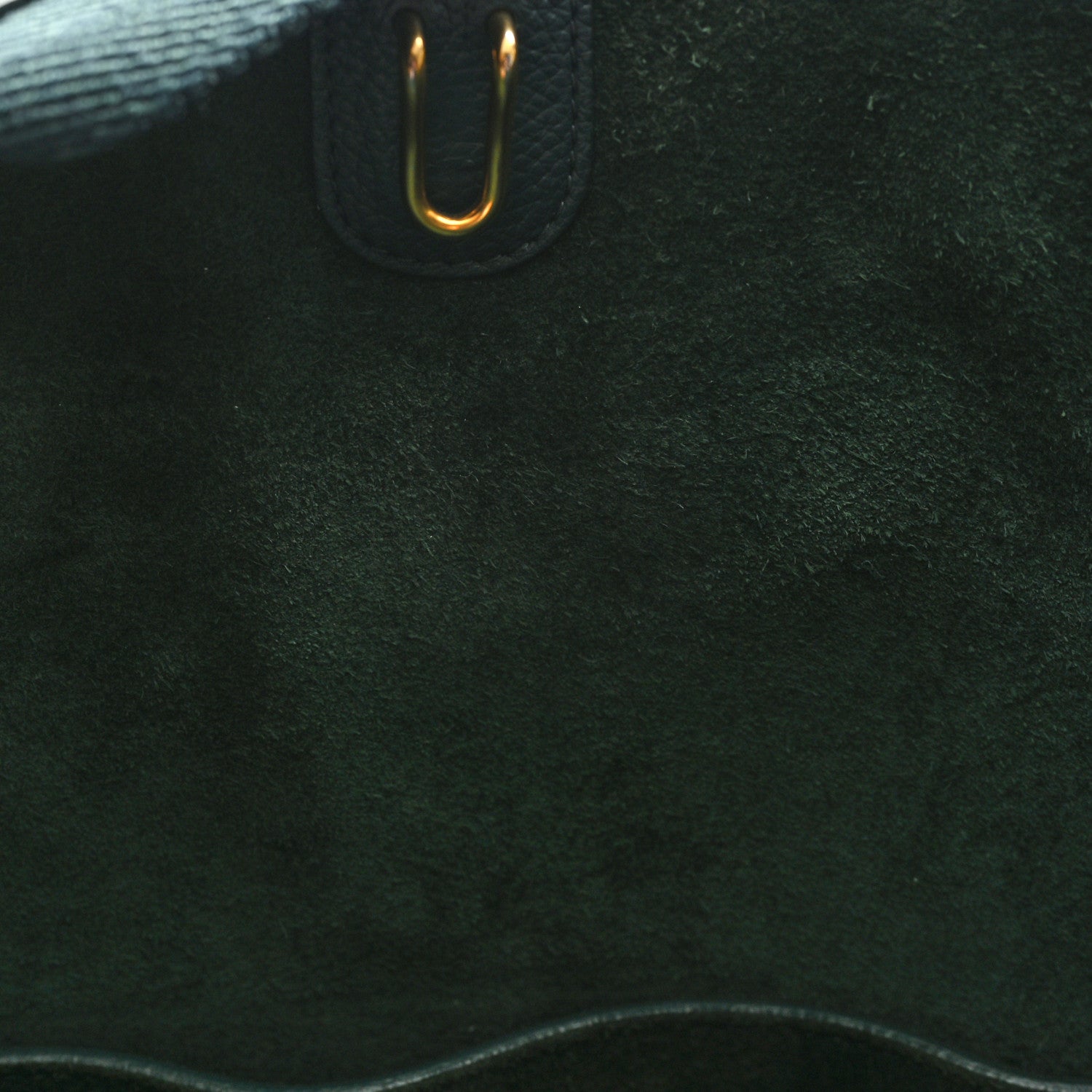 Celine Soft Grained Calfskin Sangle Bucket Bag Amazone 10 of 11