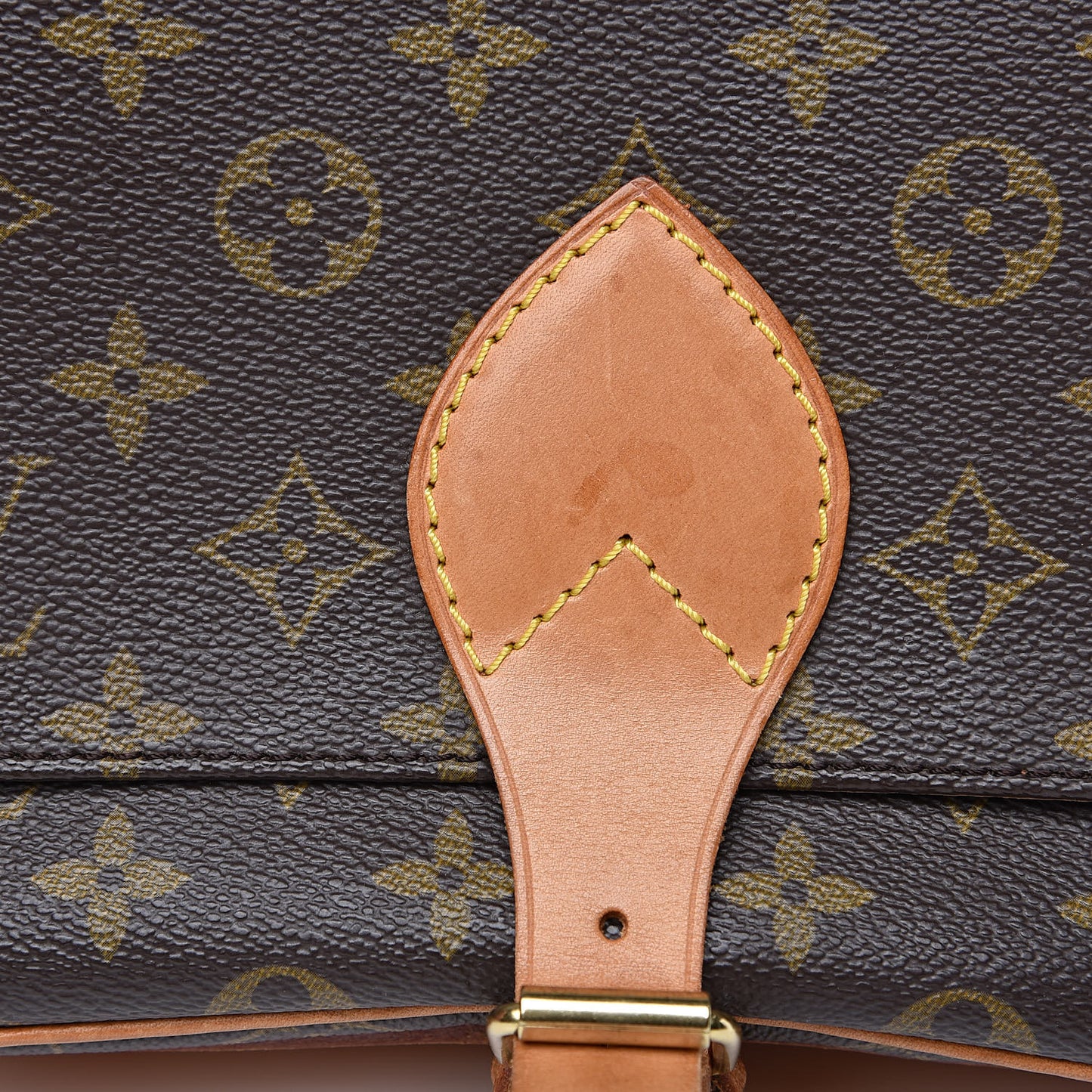 Monogram Cartouchiere 22