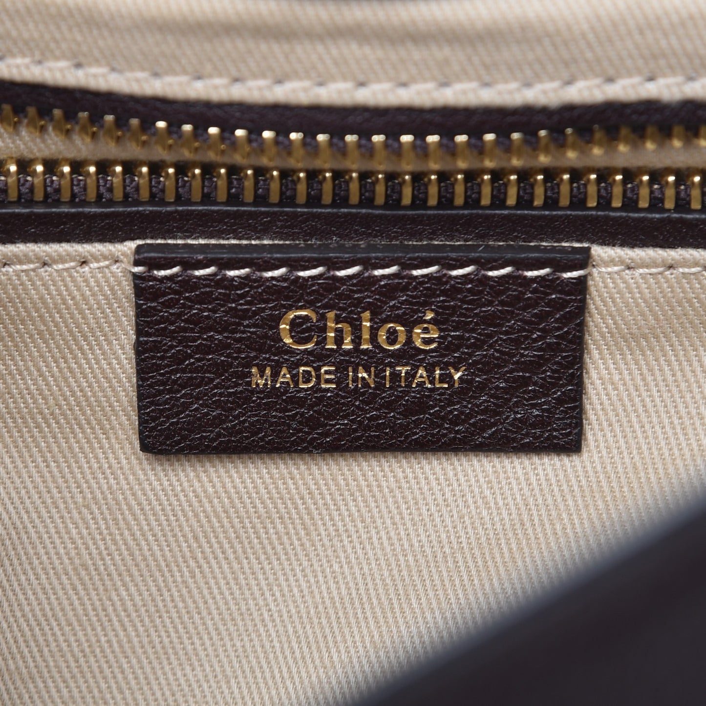 Suede Calfskin Small Faye Backpack Carbon Brown