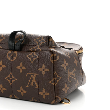 Louis Vuitton Monogram Palm Springs Backpack Mini 9 of 10
