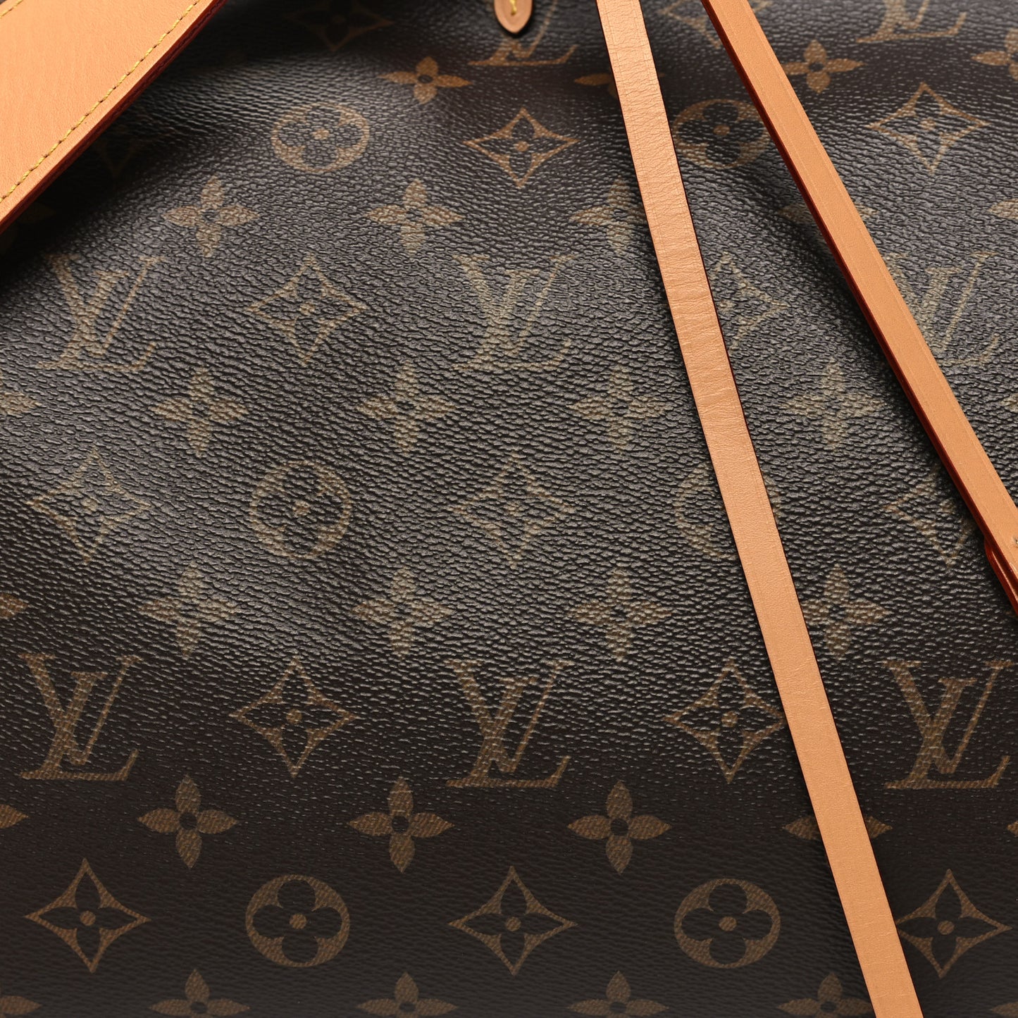 Monogram CarryAll MM