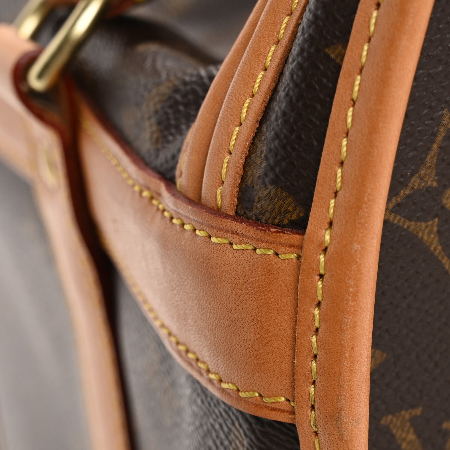 Louis Vuitton Monogram Dog Carrier 40 18 of 18