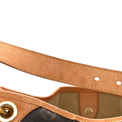 Louis Vuitton Monogram Galliera PM 13 of 15