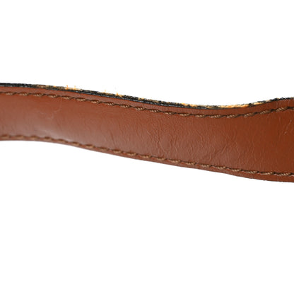 Louis Vuitton Epi Cluny Kenyan Fawn 11 of 11