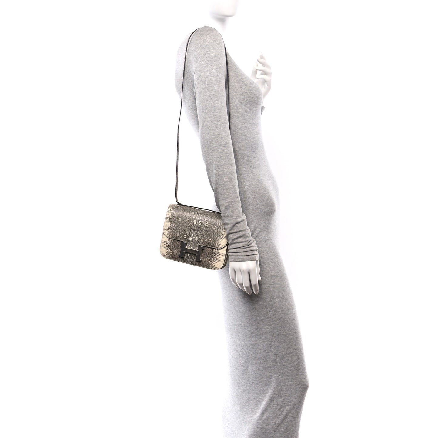 Lizard Constance 18 Ombre