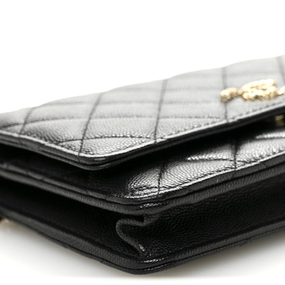 Chanel Caviar Quilted Perforated Metal CC Wallet On Chain WOC Black 10 of 13