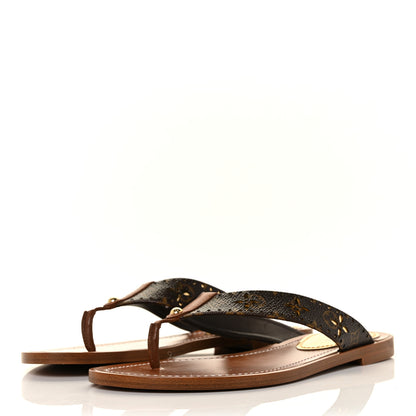Louis Vuitton Monogram Sunny Flat Thong Sandals 35 Brown 3 of 9