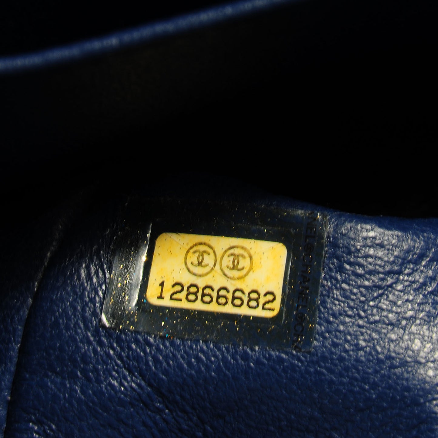 Washed Caviar Medium Double Flap Blue