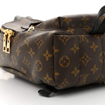 Louis Vuitton Monogram Palm Springs Backpack PM 8 of 10