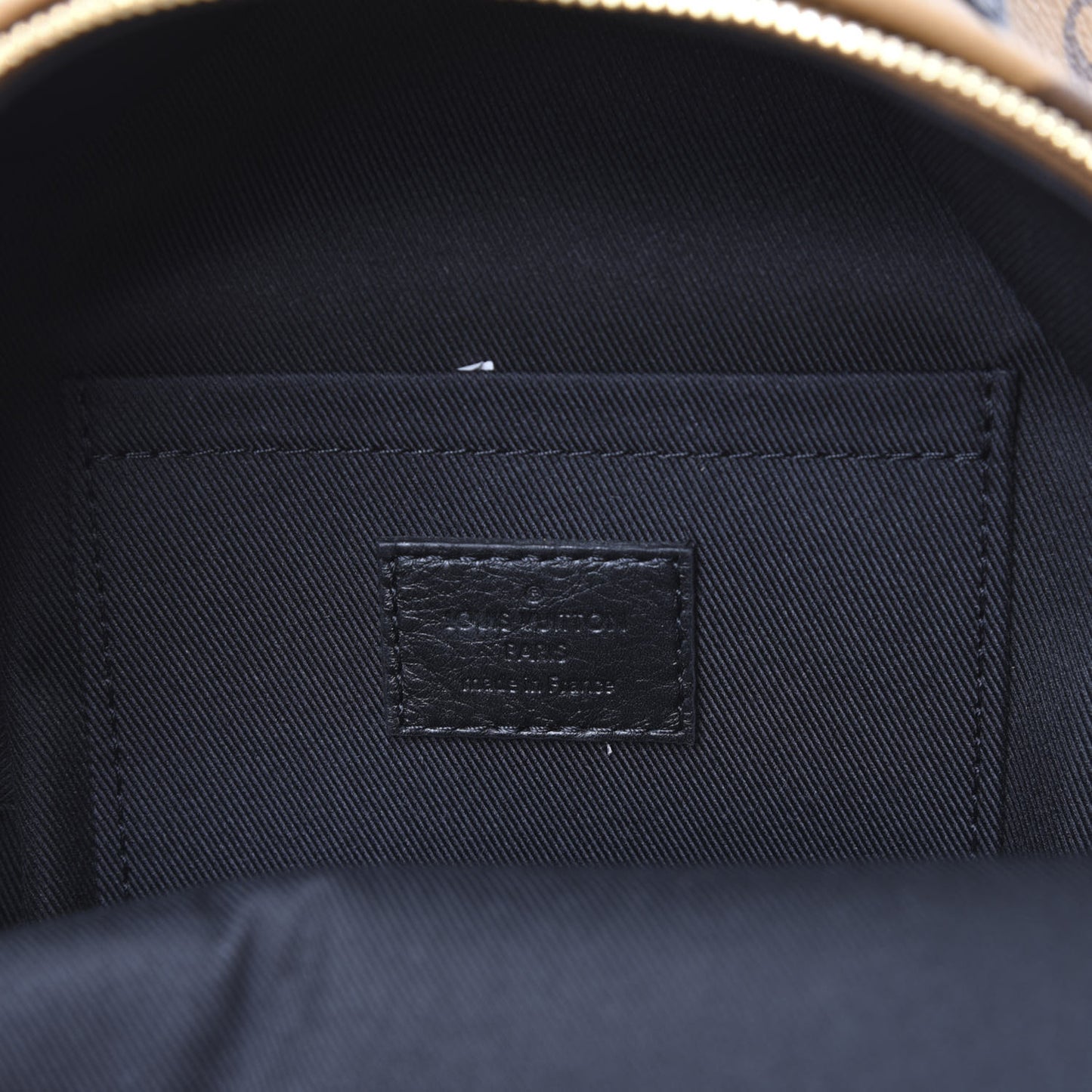 Reverse Monogram Palm Springs Backpack Mini