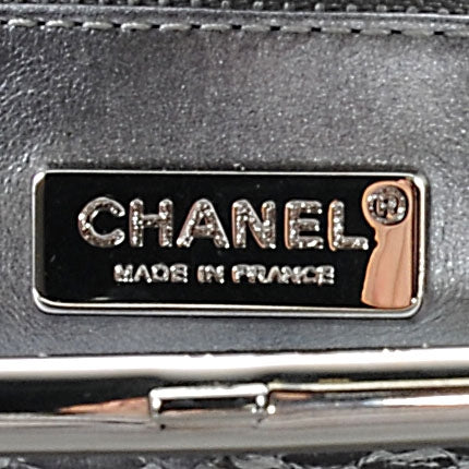Chanel Python Timeless Clutch Dark Silver 6 of 7