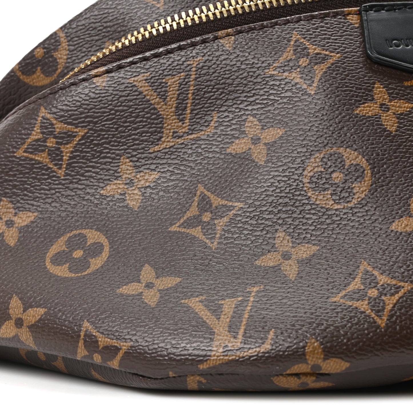 Monogram My LV World Tour Bumbag